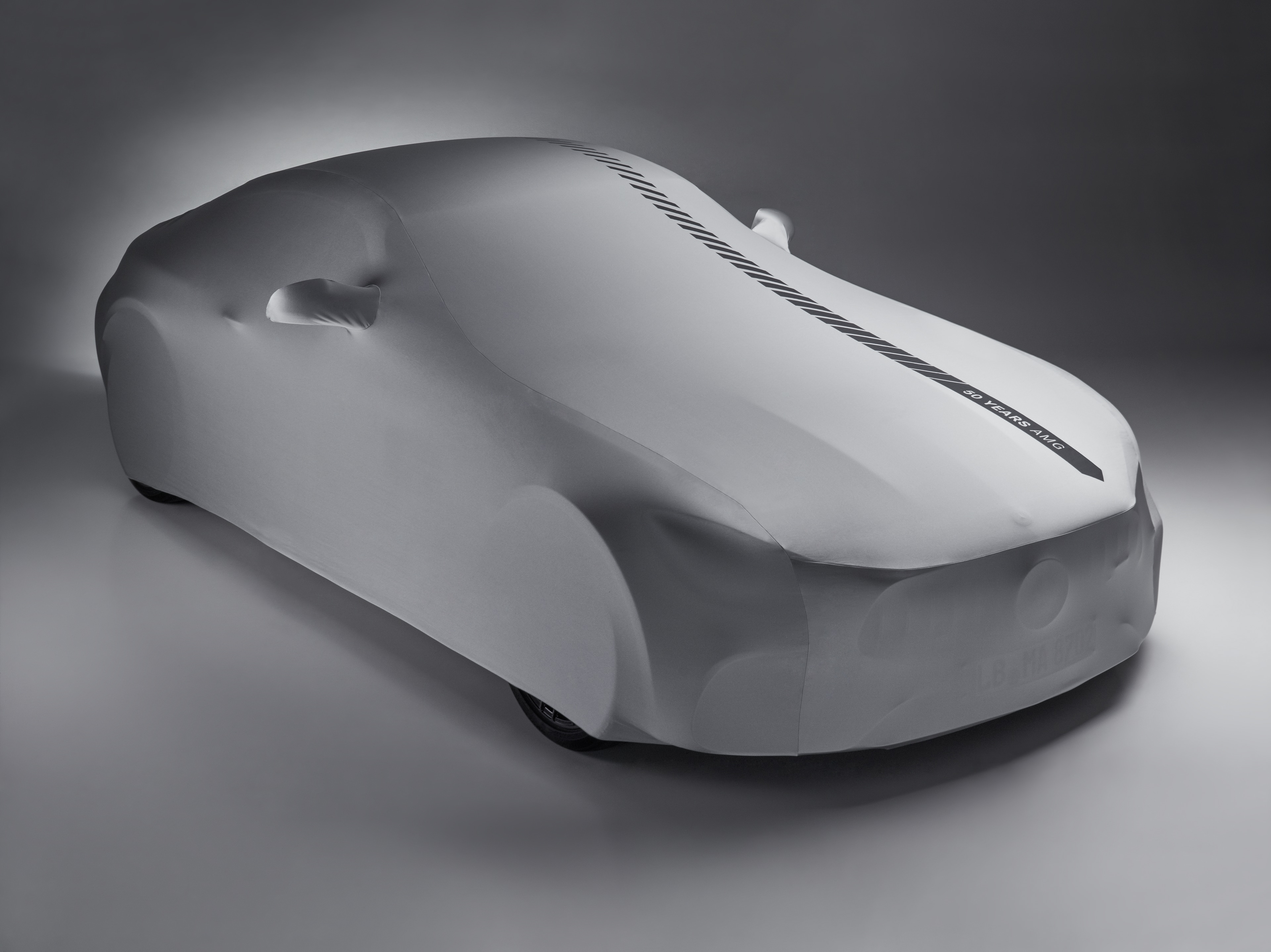 Funda de coche para interior AMG - Poliamida / Poliéster, plata